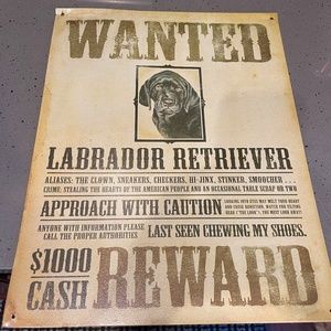 Labrador Retriever tin sign